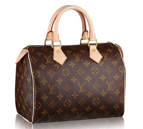 louis vuitton borsa speedy 25|louis vuitton speedy 25 price.